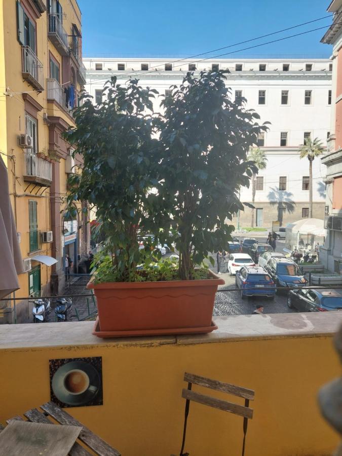 Concept b&b naples Extérieur photo